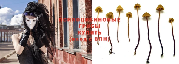 твердый Аркадак