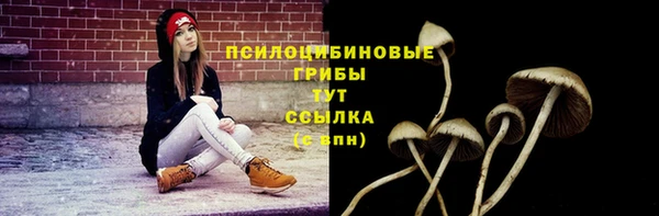 твердый Аркадак