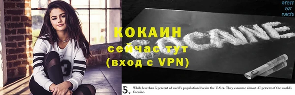 твердый Аркадак
