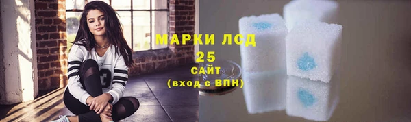 твердый Аркадак
