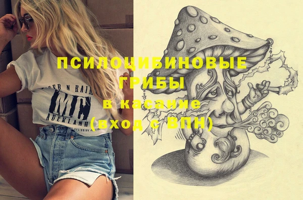 дживик Алексеевка