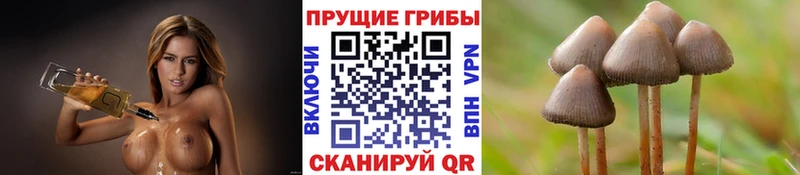 Галлюциногенные грибы мицелий  Когалым 